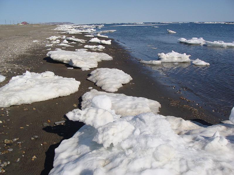 Alaska 2008 145.jpg